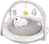 Babygym, Baby cadeau - jongen & meisje, Dierenvriendjes Speelmat, Interactief Speelgoed - Multikleuren.