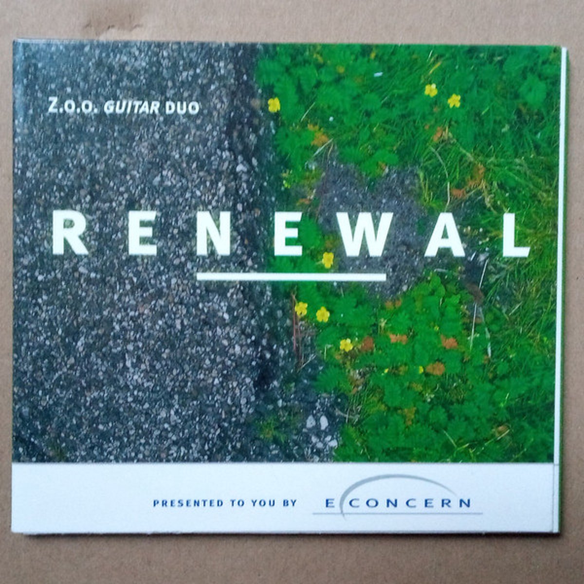 Z.o.o. Guitar Duo – Renewal
