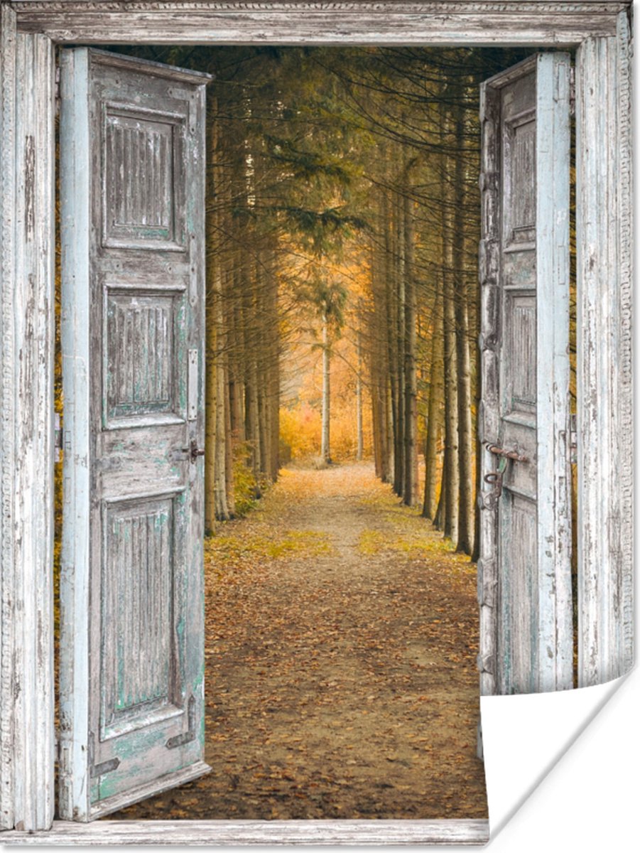 Poster Bos - Herfst - Doorkijk - 60x80 cm