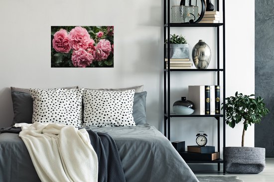 Affiche Rose - Fleurs - Roses - 30x20 cm