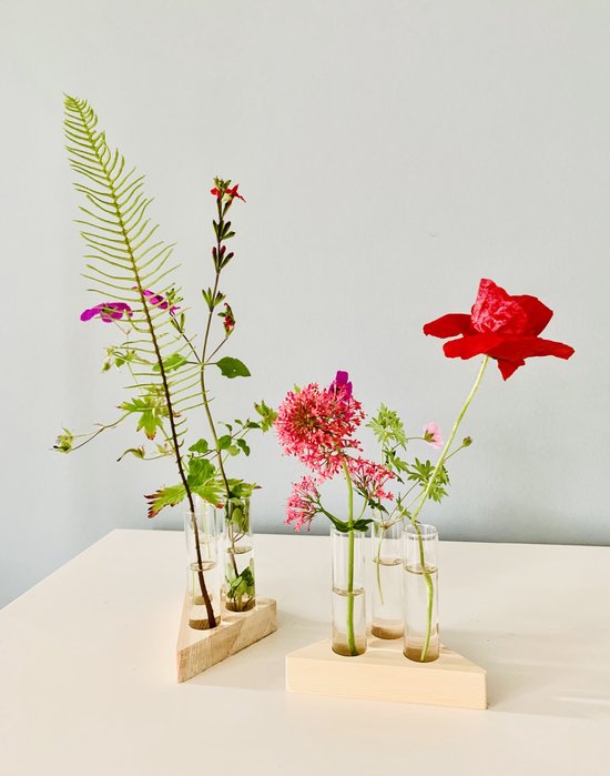 Stekstation met 3 reageerbuisjes | doorzichtige vaasjes voor stekjes, enkele bloemen, droogbloemen