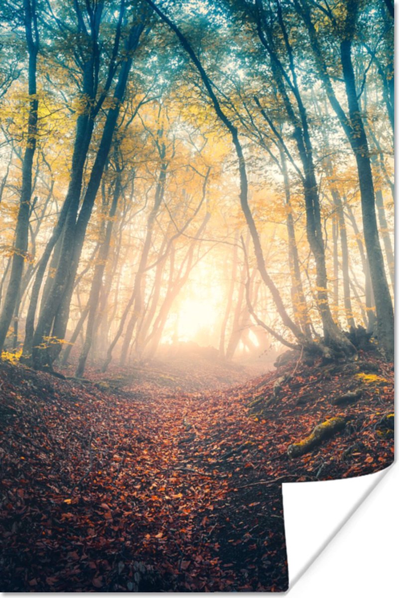 Poster Bos - Mist - Zon - Herfst - 20x30 cm