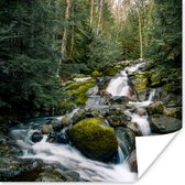 Poster Natuur - Waterval - Bomen - Herfst - 50x50 cm