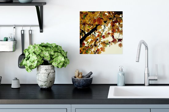 Poster Arbres - Feuilles d'Automne - Nature - 30x30 cm