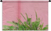 Wandkleed - Wanddoek - Plant - Zomer - Roze - 180x120 cm - Wandtapijt