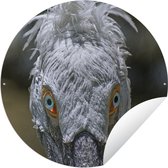 Tuincirkel Close-up van een kroeskoppelikaan - 150x150 cm - Ronde Tuinposter - Buiten