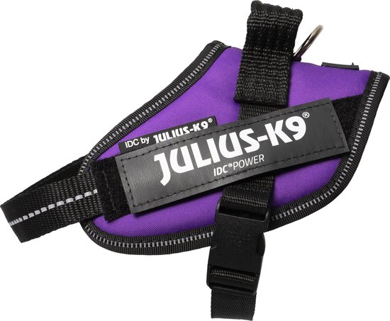 Paars Julius-K9 IDC Power tuig, zicht op de gesp en verstelbare banden. Zwart "JULIUS-K9" label.