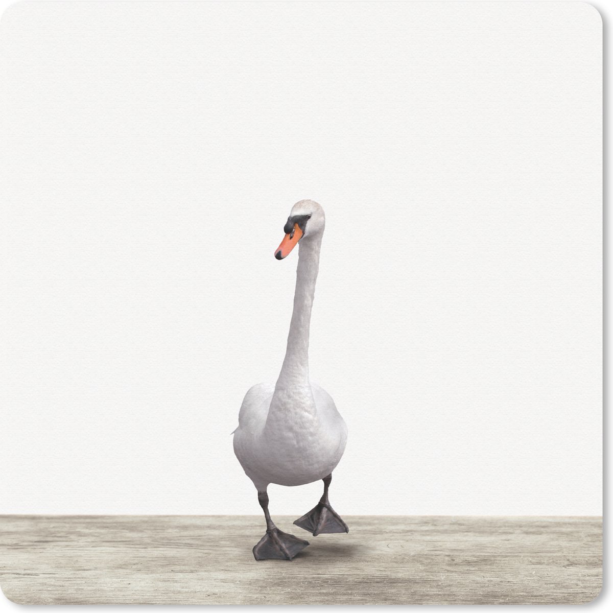 Muismat 30x30 cm - Mousepad Zwaan - Dieren - Vogel - Jongens - Meiden - Kinderen - Muismatten