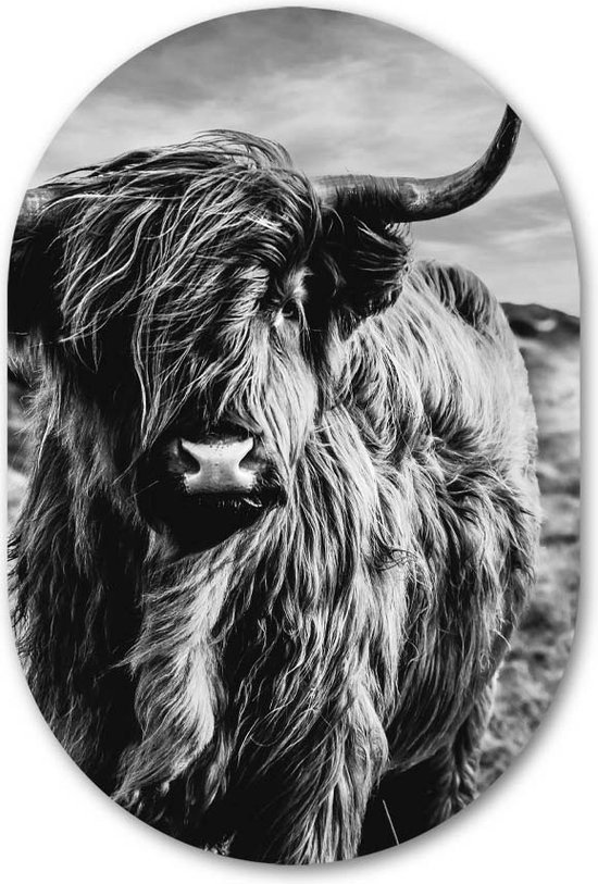 Muurovaal Schotse Hooglander Zwart Wit - WallCatcher | Geborsteld Aluminium 40x60 cm | Ovalen schilderij | Wandovaal Highlander