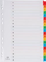 Pergamy tabbladen met indexblad, ft A4, 11-gaatsperforatie, geassorteerde kleuren, A-Z 20 met tabs 15 stuks