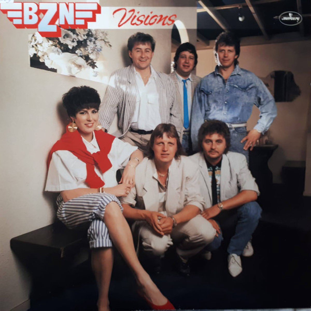 B.Z.N. Visions (LP)