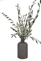 Olijf Takken - Vers om te drogen - Droogbloemen - 50 - 60 cm - Natuurlijk Bloemen