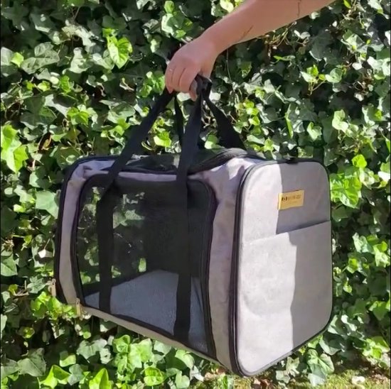 Die besten Transportboxen für Deine Katze im Überblick - Ein Ratgeber