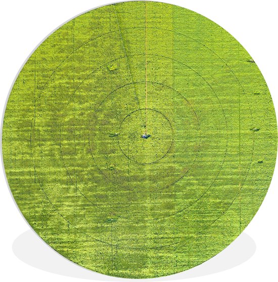 WallCircle - Wandcirkel ⌀ 60 - Boer - Gras - Cirkel - Ronde schilderijen woonkamer - Wandbord rond - Muurdecoratie cirkel - Kamer decoratie binnen - Wanddecoratie muurcirkel - Woonaccessoires