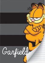 Schriften A4 Garfield gelijnd 2 pack (50% KORTING)