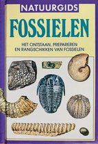 Fossielen - ontstaan/prepareren/rangschikken van fossielen