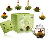 Theebloemen geschenkset groene thee met fruitsmaken en theepot (6 stuks theebloemen)