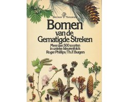 Bomen van de gematigde streken