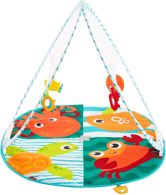 Fisher Price Draagbare Gym van Fisher Price — afbeelding 5