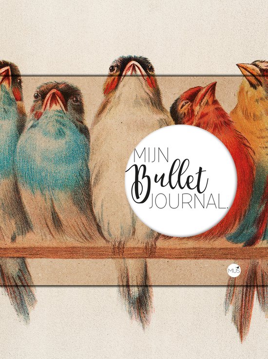 Mijn Bullet Journal