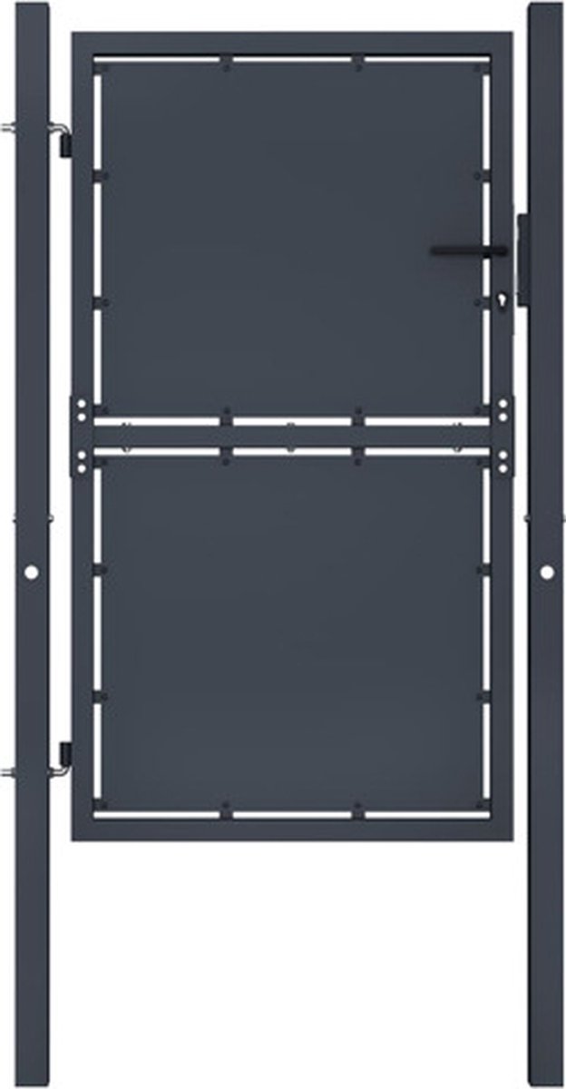 vidaXL - Tuinpoort - staal - 100x200 - cm - antraciet