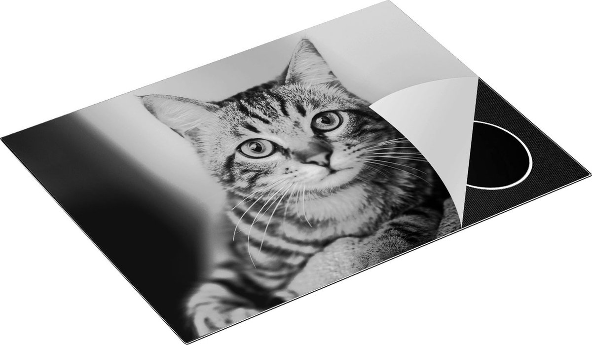 Chefcare Inductie Beschermer Kat met Wijde Ogen - Zwart Wit - 71x52 cm - Afdekplaat Inductie - Kookplaat Beschermer - Inductie Mat