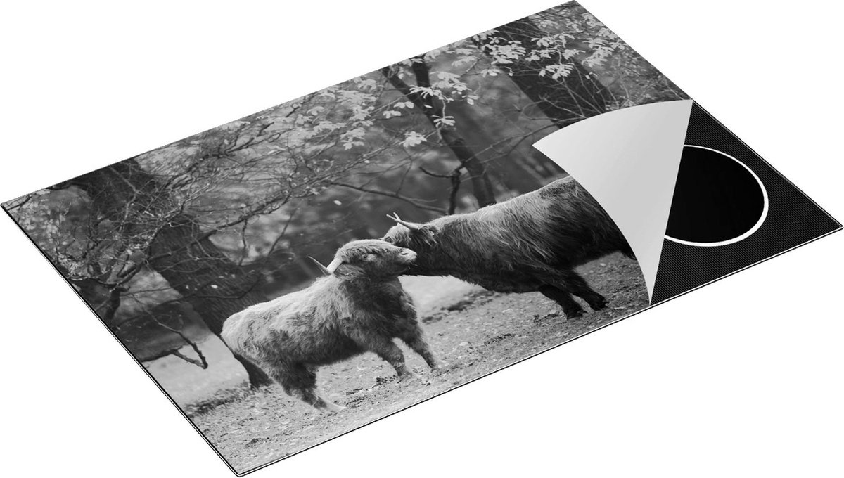 Chefcare Inductie Beschermer Twee Schotse Hooglanders Kussen Elkaar - Liefde - Zwart Wit - 80x50 cm - Afdekplaat Inductie - Kookplaat Beschermer - Inductie Mat