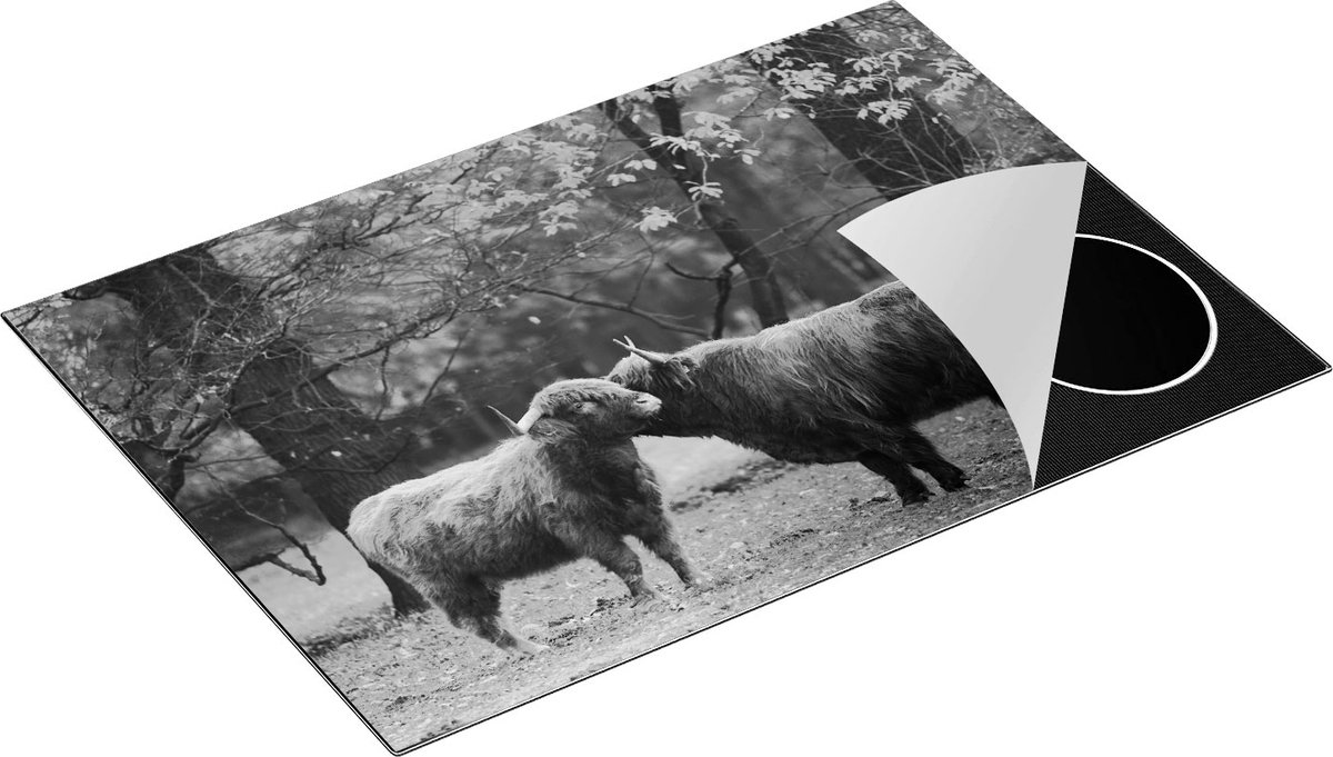 Chefcare Inductie Beschermer Twee Schotse Hooglanders Kussen Elkaar - Liefde - Zwart Wit - 76x51,5 cm - Afdekplaat Inductie - Kookplaat Beschermer - Inductie Mat