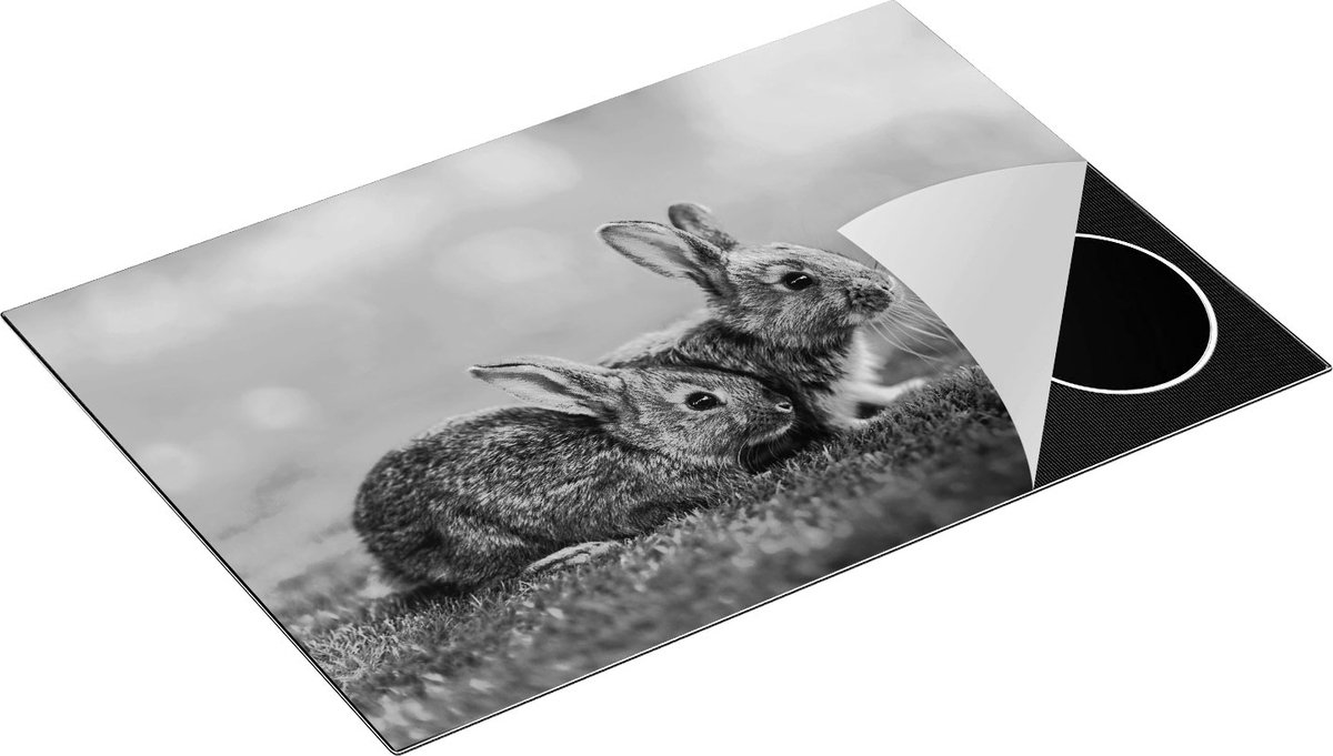 Chefcare Inductie Beschermer Twee Konijnen op het Groene Gras - Zwart Wit - 75x52 cm - Afdekplaat Inductie - Kookplaat Beschermer - Inductie Mat
