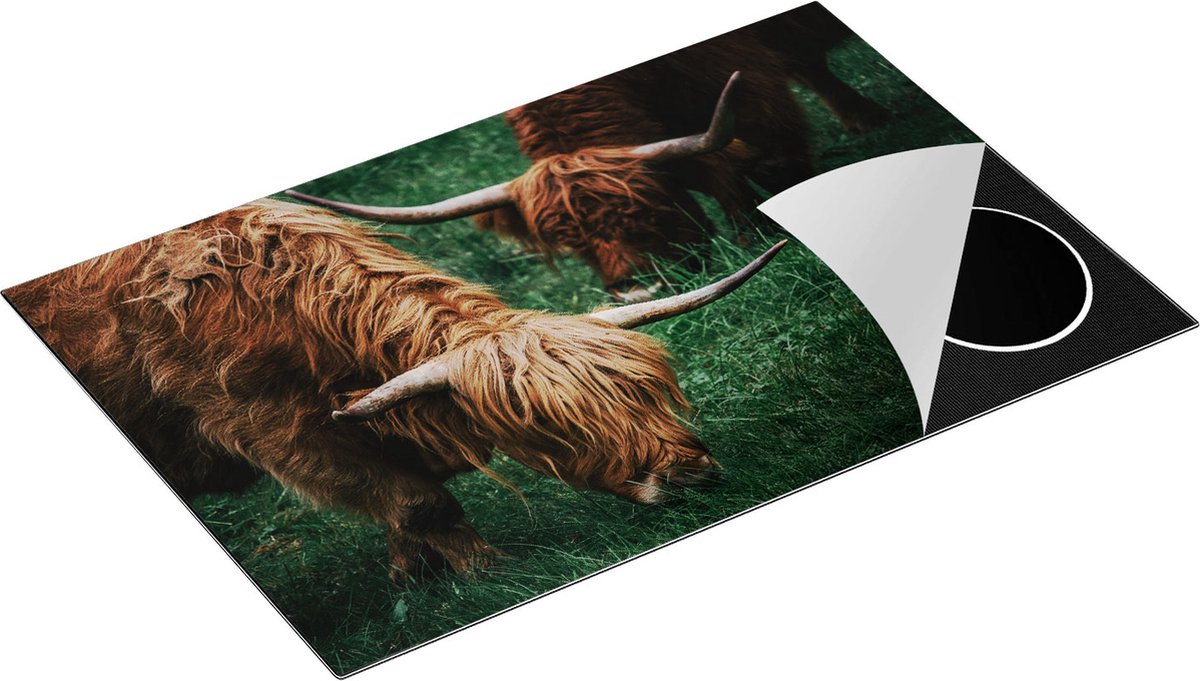 Chefcare Inductie Beschermer Twee Schotse Hooglanders grazen Gras - 80x55 cm - Afdekplaat Inductie - Kookplaat Beschermer - Inductie Mat