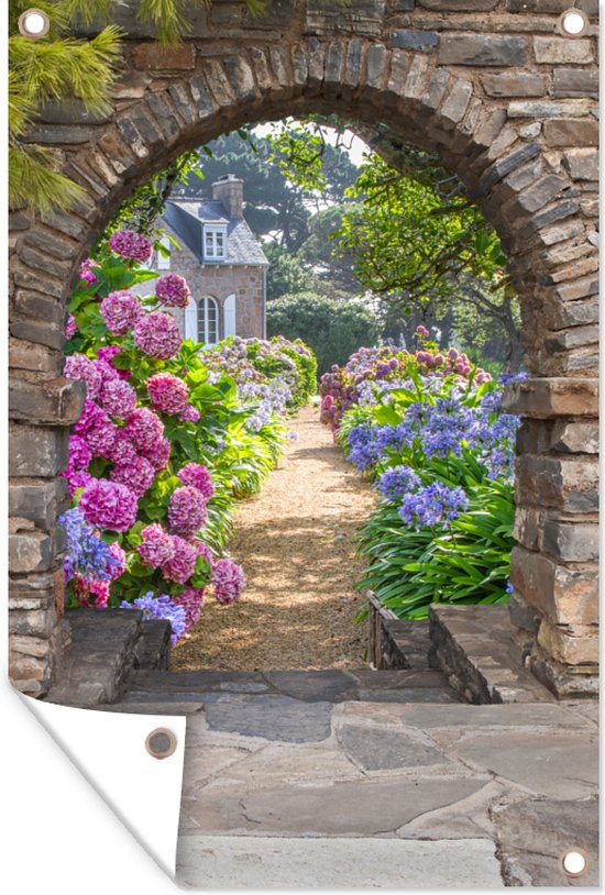 Affiche de jardin - Transparente - Hortensia - Fleurs - Maison - Jardin - 40x60 cm - Décoration de clôture - Toile de jardin