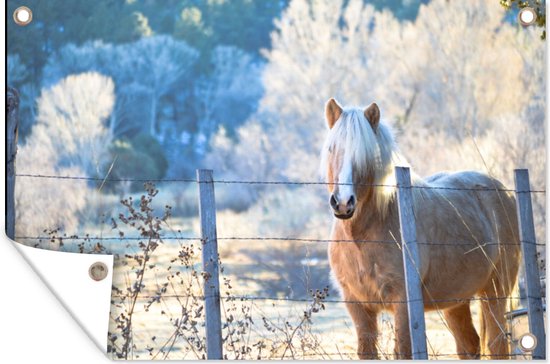 Foto: Tuinposter tuinschilderij paard paard winter tuindoek tuindecoratie sneeuw 180x120 cm