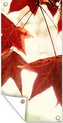 Affiche jardin d'automne - CM 1:2 7-5