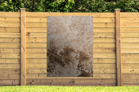 Affiche de jardin - Pampa - Herbe de la pampa plante de jardin - Plantes - Nature - Rose - 120x160 cm - Affiche de jardin fleurs - Jardin - Décoration murale - Décoration murale - Toile de jardin