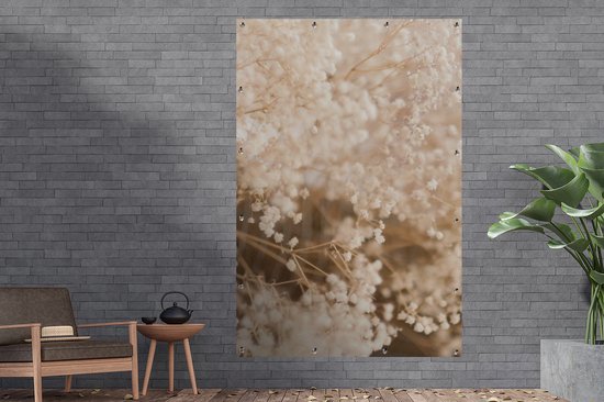 Affiche de jardin - Pampa - Herbe de la pampa plante de jardin - Plantes - Nature - Rose - 120x180 cm - Affiche de jardin fleurs - Jardin - Décoration murale - Décoration murale