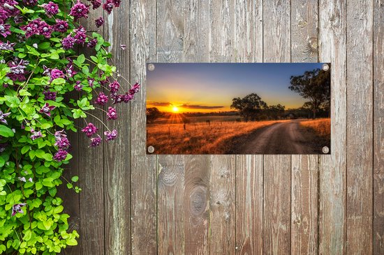 Affiche de jardin - Arbre - Herbe - Toile de clôture - Nature - Colline - Soleil - Jardin - Décoration de jardin - 80x40 cm - Toile de jardin - Affiche extérieure