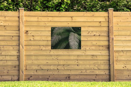 Affiche de jardin - Jardin - Palmier - Feuille de palmier - Tropical - Feuilles - 80x60 cm - Tableau jardin - Toile jardin - Affiche extérieure