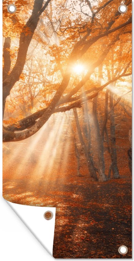 Poster ARTTOR Forêt Feuilles Soleil - 100x70 Cm - Décoration Murale Nature - Papier Brun