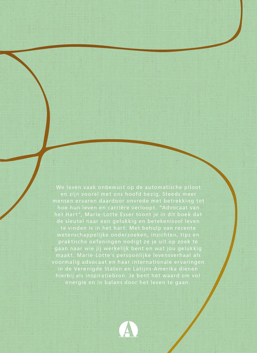 Achterkant van een groen boek met gouden lijntekening en tekst in het Nederlands.