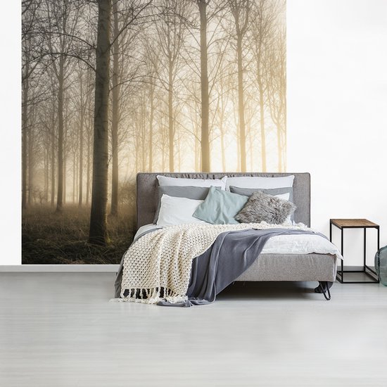 Papier Peint - Papiers Papier peint photo Forêt - Soleil - Brouillard - Largeur 300 cm x Hauteur 300 cm