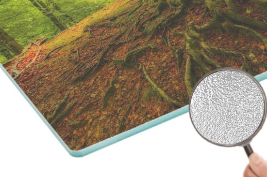 Planche à découper en Verres - 28x20 - Arbre - Forêt - Feuilles d'automne - Planches à découper en Glas