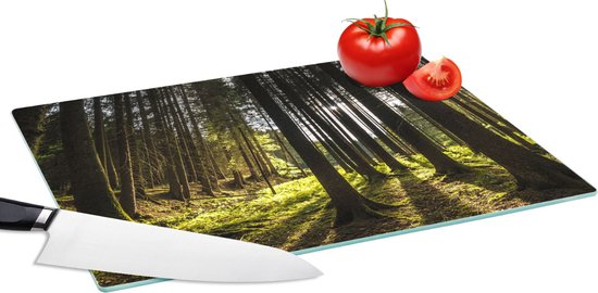 Planche à découper en Verres - 39x28 - Arbre - Nature - Soleil - Forêt - Planches à découper en Glas
