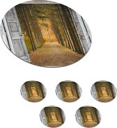 Onderzetters voor glazen - Rond - Bos - Herfst - Doorkijk - 10x10 cm - Glasonderzetters - 6 stuks