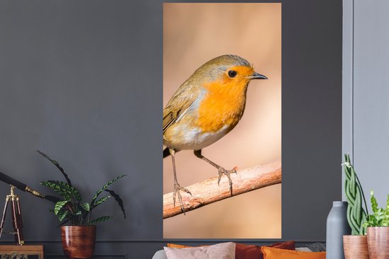 Stickers muraux - Vogel - Branche - Rouge-gorge - 80x160 cm - Film adhésif