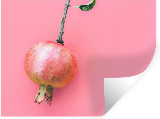 Stickers muraux - Plantes - Été - Rose - 40x30 cm - Feuille adhésive