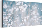 Wanddecoratie Metaal - Aluminium Schilderij Industrieel - Takken - Sneeuw - Winter - Natuur - Botanisch - 40x20 cm - Dibond - Foto op aluminium - Industriële muurdecoratie - Voor de woonkamer/slaapkamer