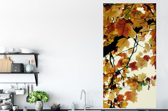 Poster Arbres - Feuilles d'automne - Nature - 80x160 cm