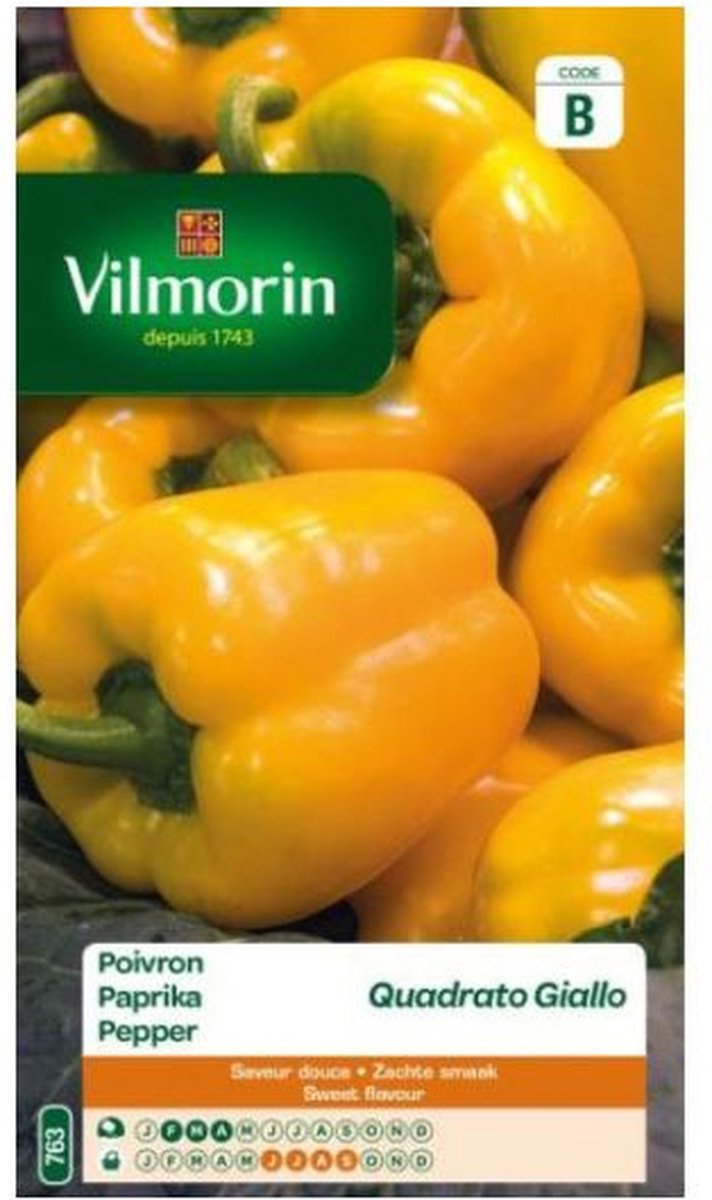 Vilmorin- paprika- Quadrato Giallo- V763