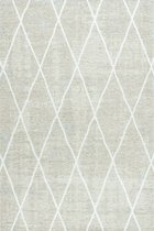 Vloerkleed Brinker Carpets Diamo Ice - maat 200 x 300 cm