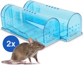 Vivid Green Diervriendelijke muizenval voor binnen & buiten - Muizenvallen - Muizenverjager - Mouse trap - 2 Pack - Blauw